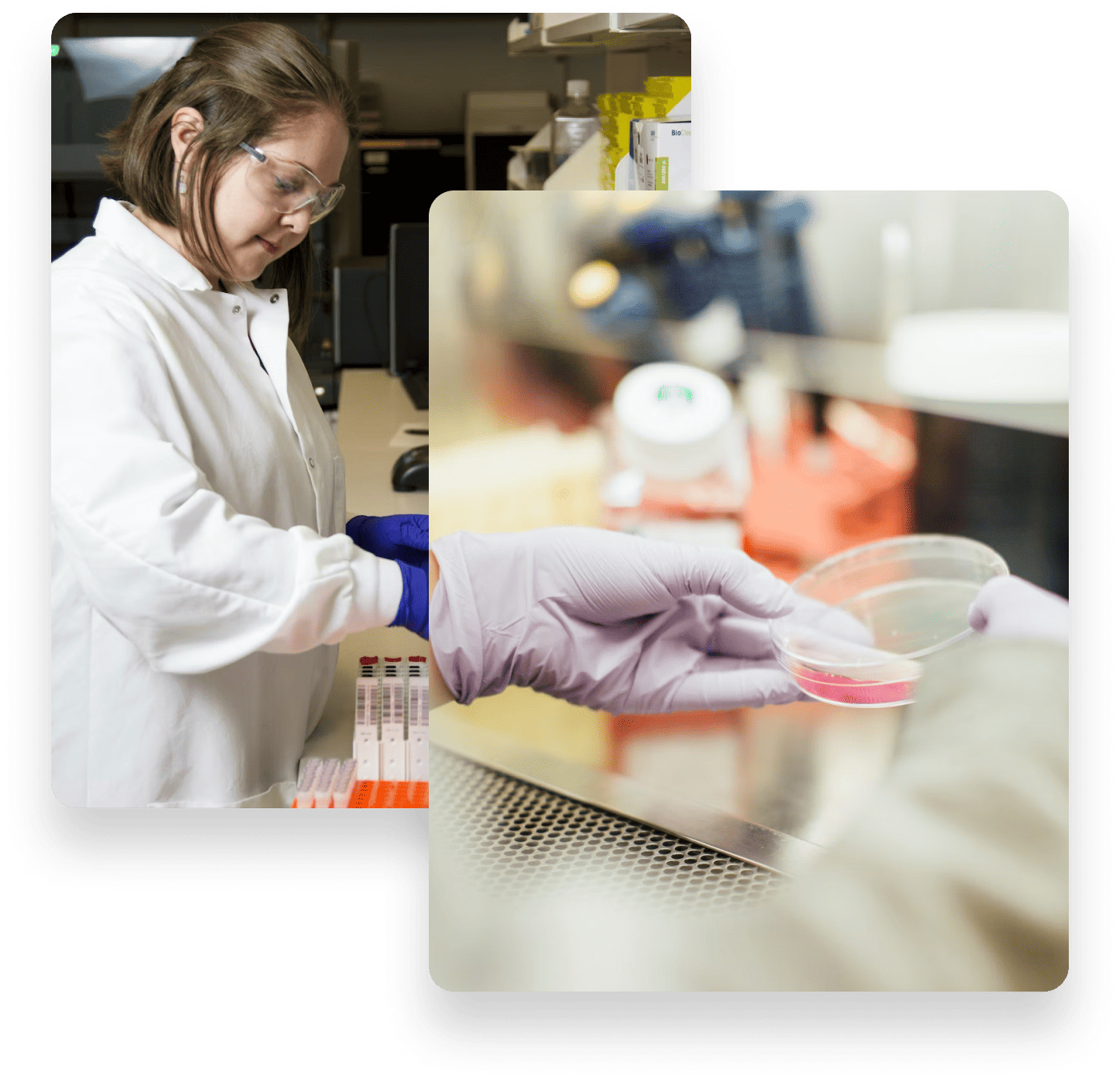Careers Lp BioTest Laboratory